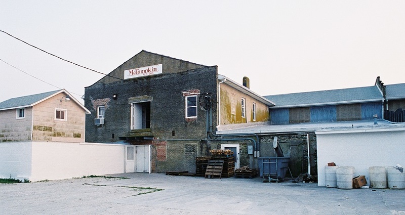 MeTompkin Crab Plant.jpg MeTompkin Crab Plant.jpg