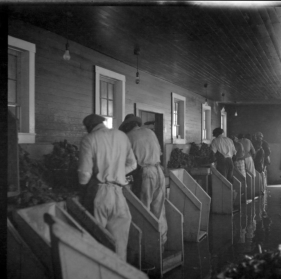 Oyster-4.png Oyster-4.png