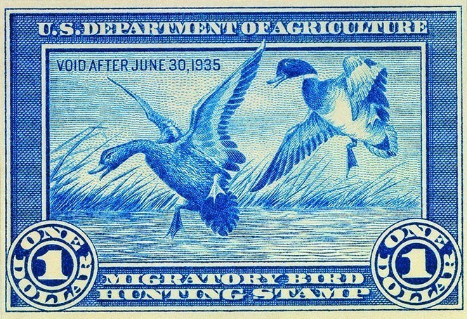 Image 14 - 1stDuckStamp.jpg Image 14 - 1stDuckStamp.jpg