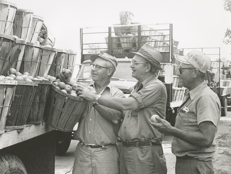 E-LW-2-4.jpg E-LW-2-4.jpg