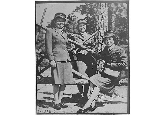 download (2).png download (2).png