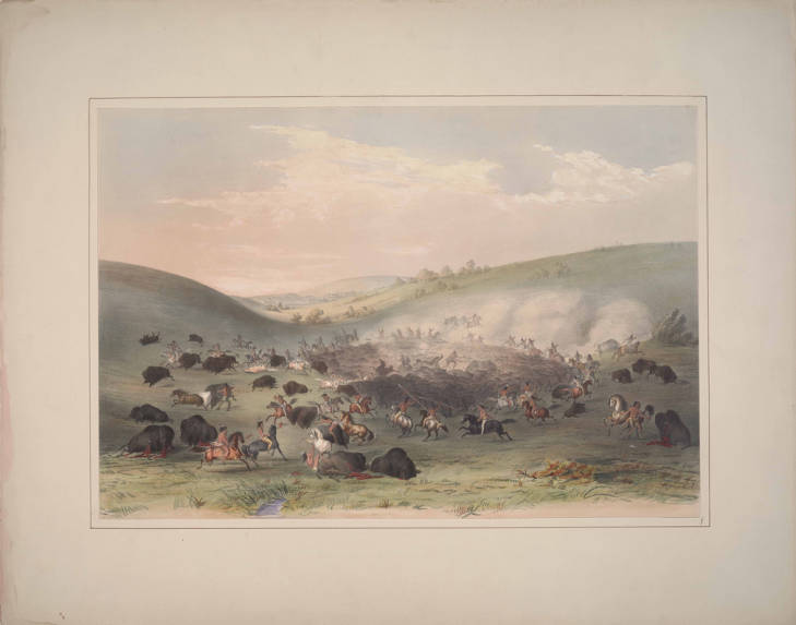 buffalo.jpg buffalo.jpg