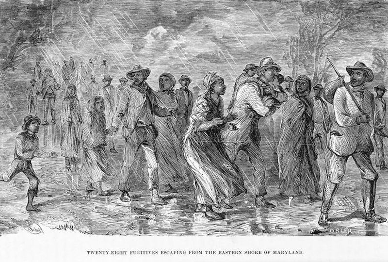 E-ES-2-4.jpg E-ES-2-4.jpg