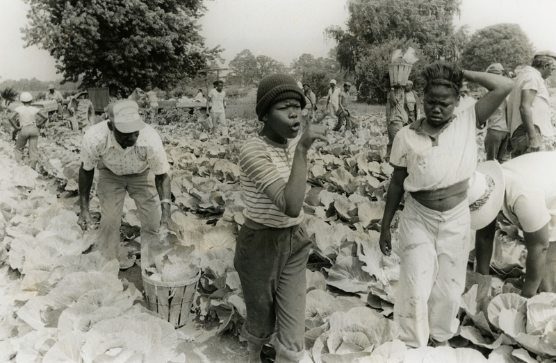 E-LW-1-7.jpg E-LW-1-7.jpg