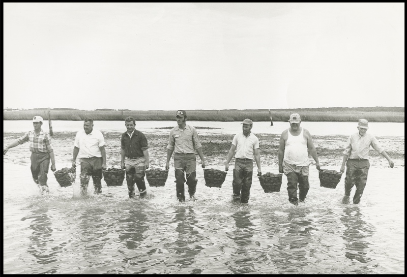 E-Water-1.jpg E-Water-1.jpg