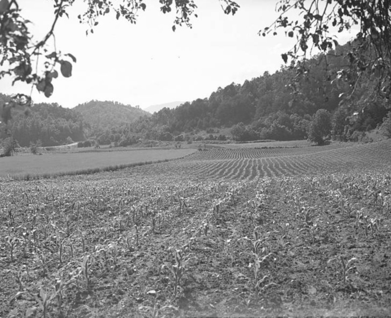 Screen Shot 2020-11-22 at 3.45.53 PM.png Screen Shot 2020-11-22 at 3.45.53 PM.png