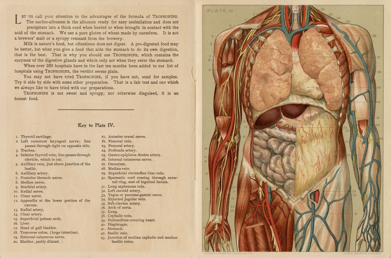 Anatomy Photo.JPG Anatomy Photo.JPG