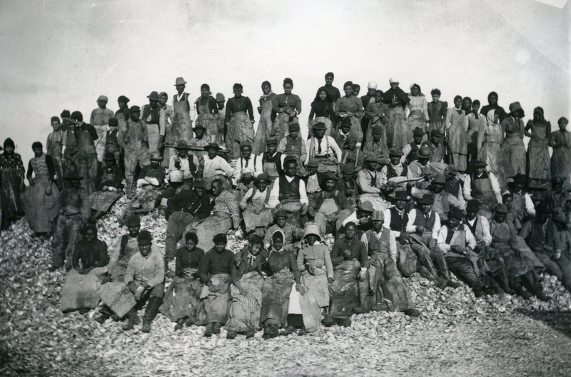 E-Oyster Cans-4.jpg E-Oyster Cans-4.jpg