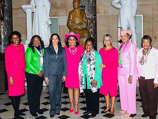 IMAGE 2 Terri_Sewell_AKA_1908_01.jpg IMAGE 2 Terri_Sewell_AKA_1908_01.jpg