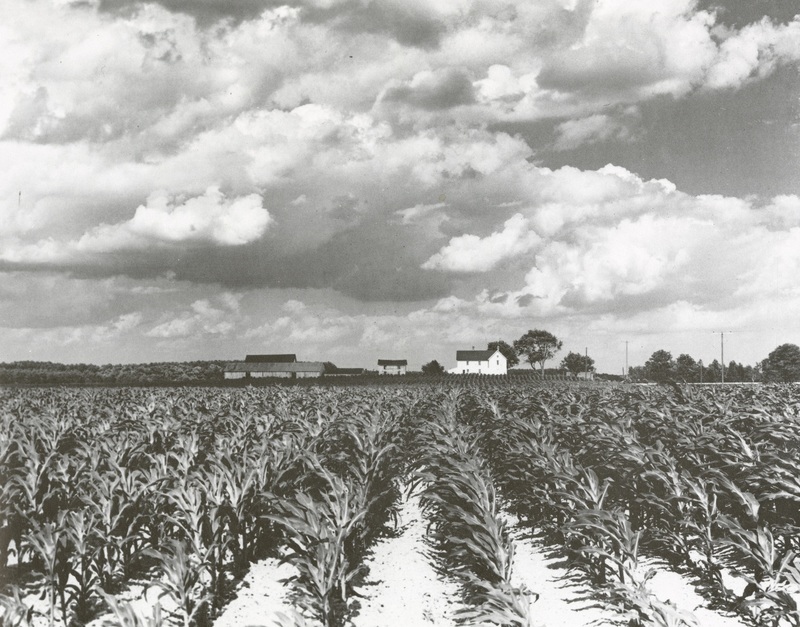 E-LW-2-3.jpg E-LW-2-3.jpg