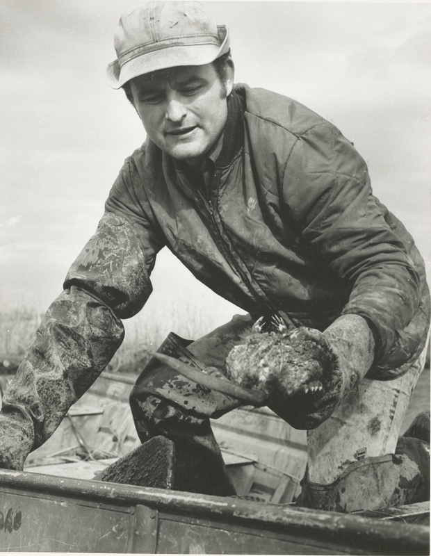 E-Hunting-1-1.jpg E-Hunting-1-1.jpg