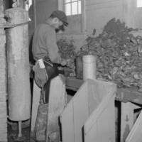 Oyster Shucking.png