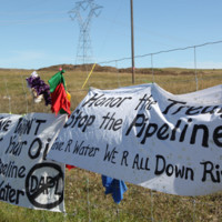 z1-MIAC-zoPAMELA-J.-PETERS-Water-Protector-Signs.jpg