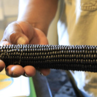 Screen Shot 2020-11-19 at 8.18.20 PM.png