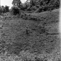 Screen Shot 2020-11-19 at 8.05.37 PM.png